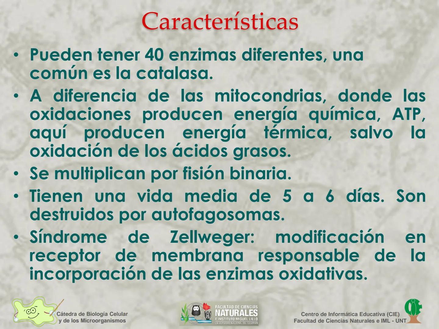--- OCR Start ---
Cátedra de Biología Celular
y de los Microorganismos
Célula Eucariota
1
2
00
4
FACULTAD DE CIENCIAS
NATURALES
E INSTITUTO