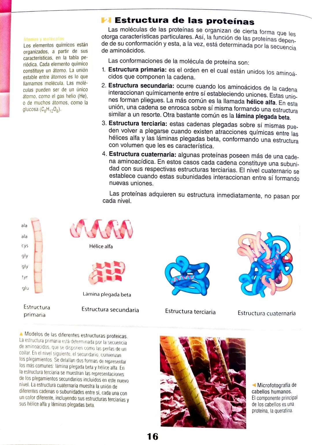 # Eje 1: Flujo de la información genética
1
# Las proteínas y
## su relación con el ADN
マド
DANS LES DORTORS
Bas de
A través de una alim