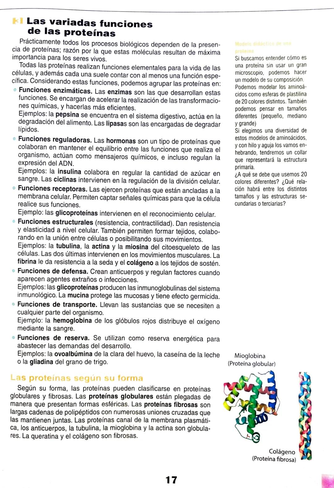 # Eje 1: Flujo de la información genética
1
# Las proteínas y
## su relación con el ADN
マド
DANS LES DORTORS
Bas de
A través de una alim