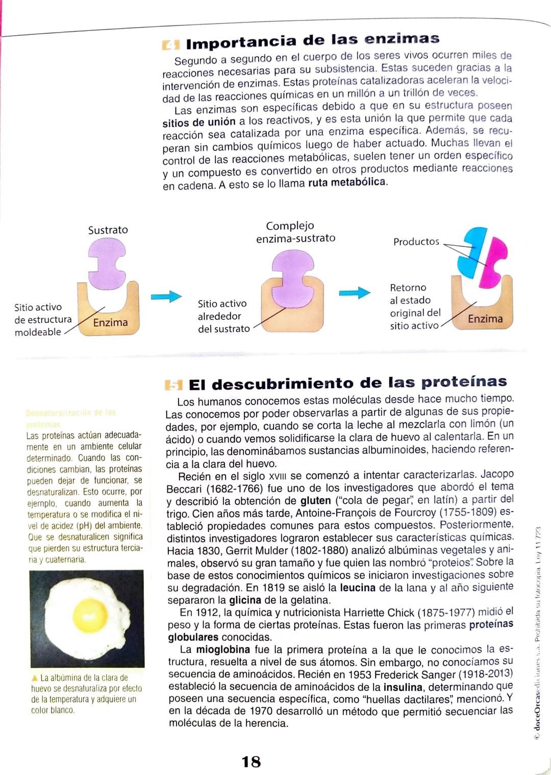 # Eje 1: Flujo de la información genética
1
# Las proteínas y
## su relación con el ADN
マド
DANS LES DORTORS
Bas de
A través de una alim