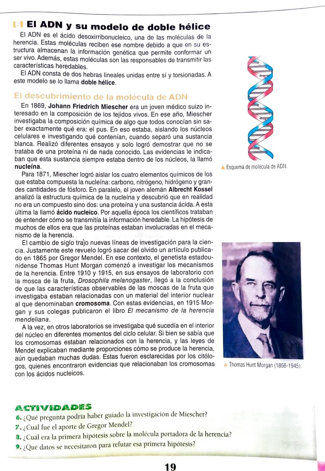 # Eje 1: Flujo de la información genética
1
# Las proteínas y
## su relación con el ADN
マド
DANS LES DORTORS
Bas de
A través de una alim