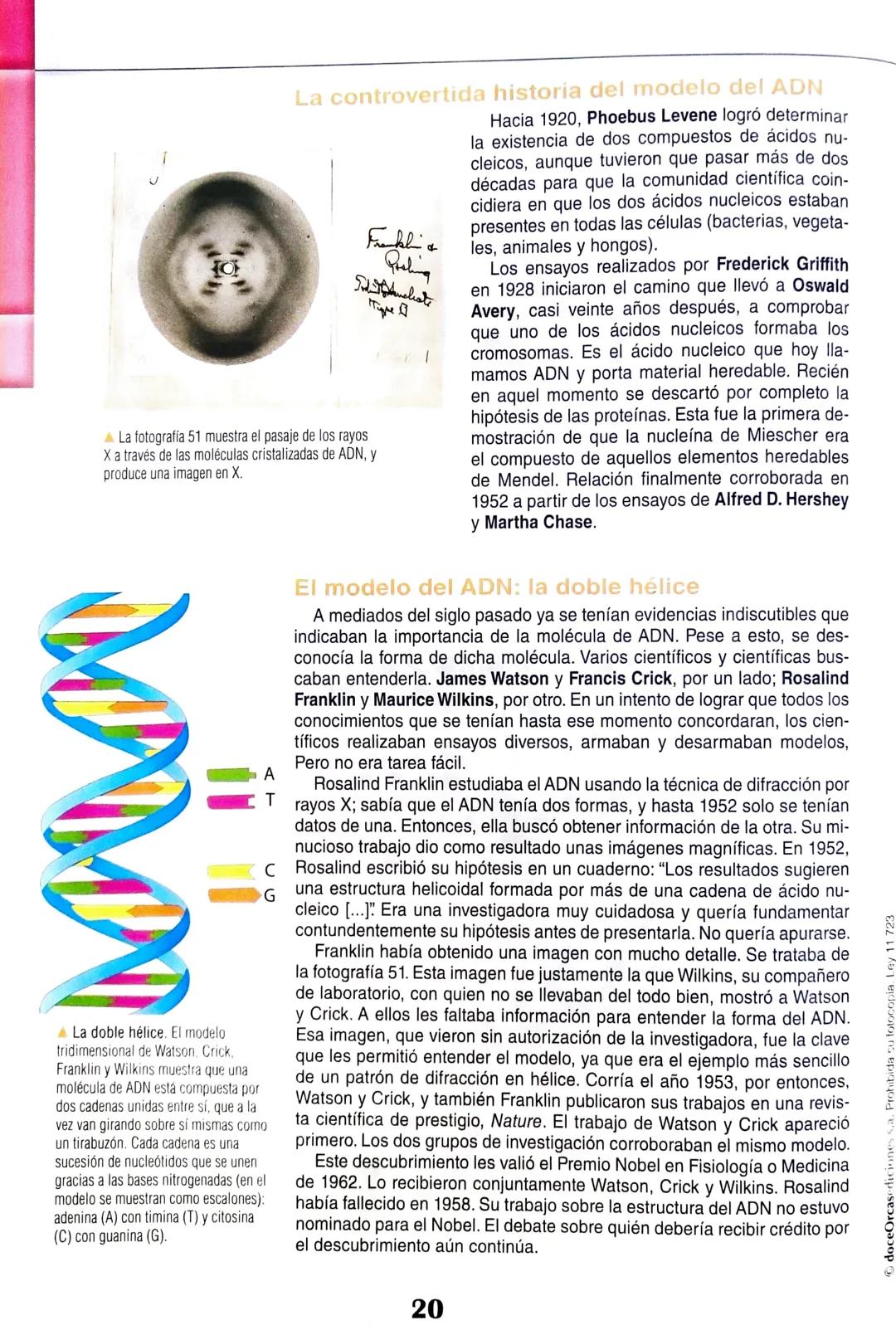 # Eje 1: Flujo de la información genética
1
# Las proteínas y
## su relación con el ADN
マド
DANS LES DORTORS
Bas de
A través de una alim