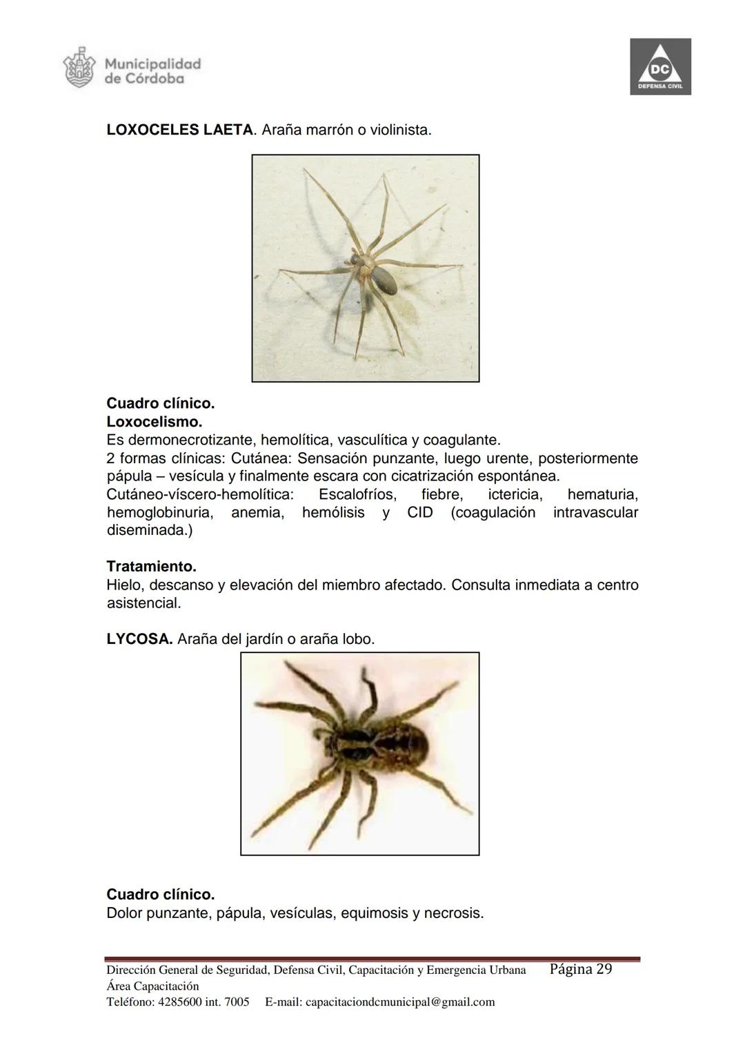 Dirección de Capacitación.
Dirección General de
Seguridad, Defensa Civil,
Capacitación y Emergencia
Urbana Municipal.
Secretaría de Seguri