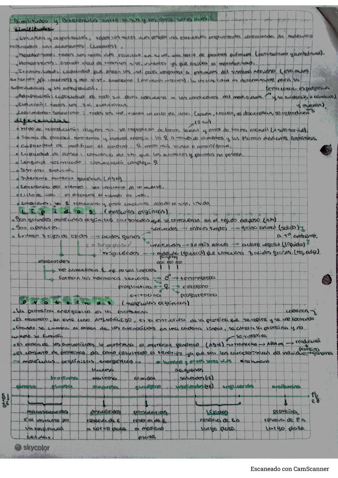 # Biologia
b
niveles de organización del cuerpo humano
* aroma nivel más brosio de agarnitución de la mereria, se combinan para factus en