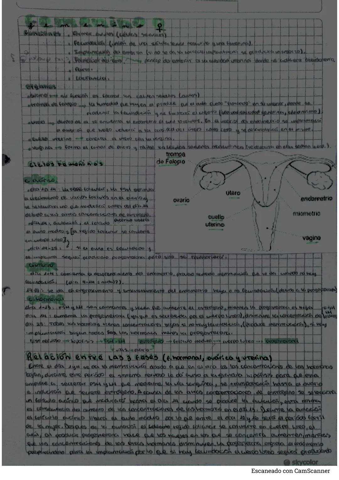 # Biologia
b
niveles de organización del cuerpo humano
* aroma nivel más brosio de agarnitución de la mereria, se combinan para factus en