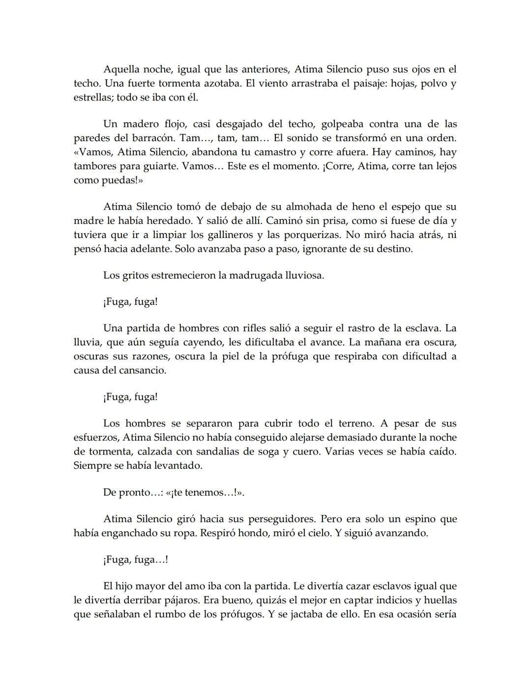 sm
PREMIO EL BARCO DE VAPOR
ILUSTRACIÓN MARIANA CHIESA
EL BARCO DE VAPOR
El espejo
africano
Liliana Bodoc Esta es la historia de un espejo q