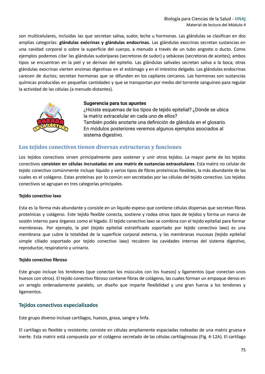 # Módulo
4
de células a tejidos
Introducción
En este módulo nos enfocaremos en un nuevo nivel de organización, los tejidos.
En primer lug
