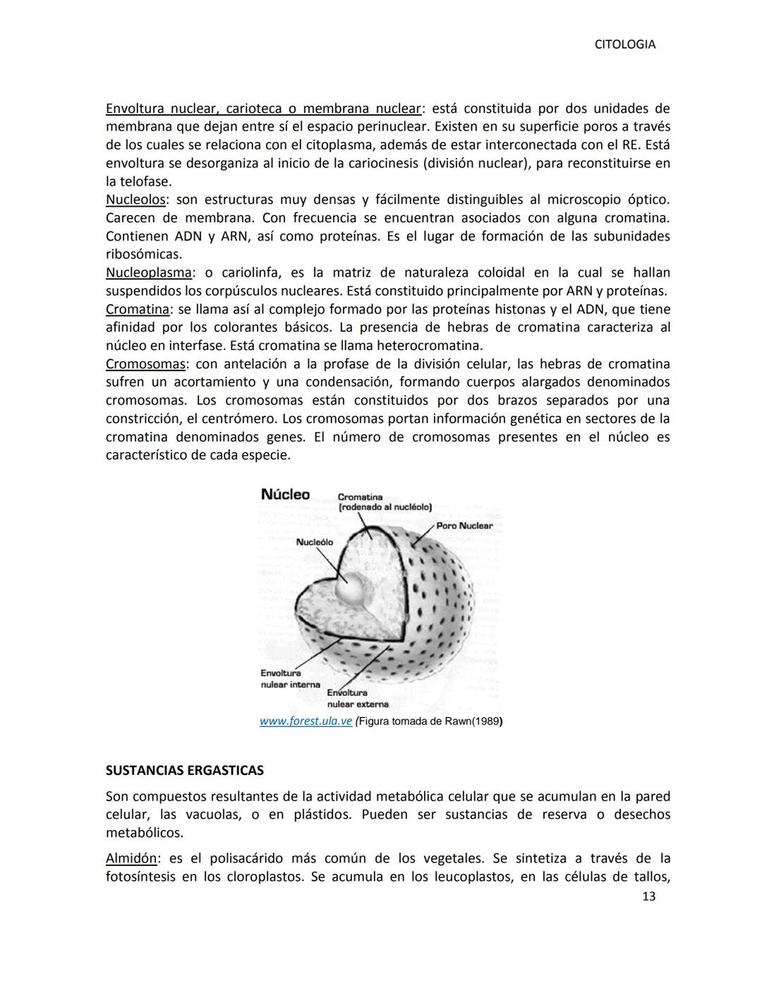 # UNSL-FICA
DEPARTAMENTO DE CIENCIAS AGROPECUARIAS
MORFOLOGIA VEGETAL
CITOLOGIA
ING.AGR. MARCELA MANRIQUE
Dra. M. Cecilia Fernández Belmo