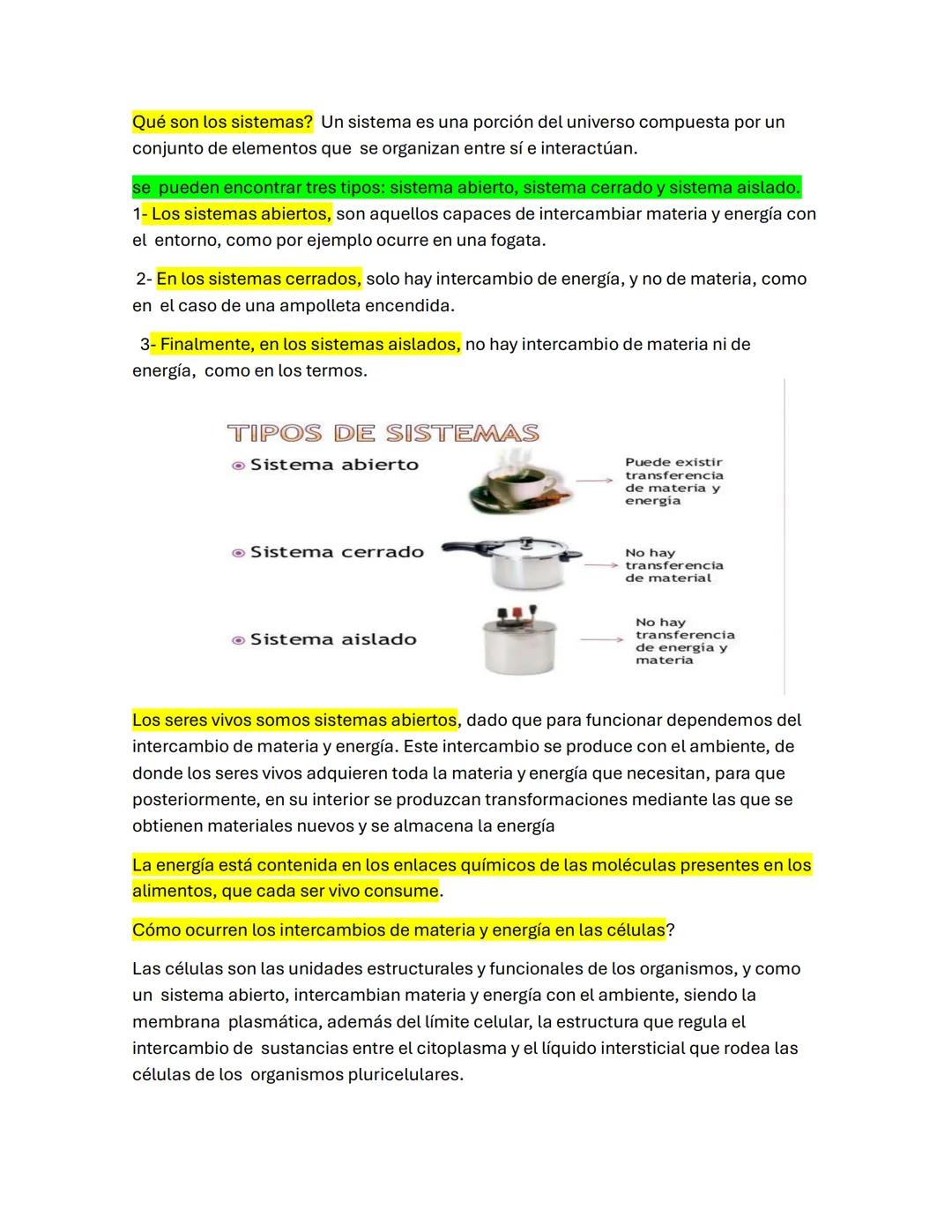 Qué son los sistemas? Un sistema es una porción del universo compuesta por un
conjunto de elementos que se organizan entre sí e interactúan.