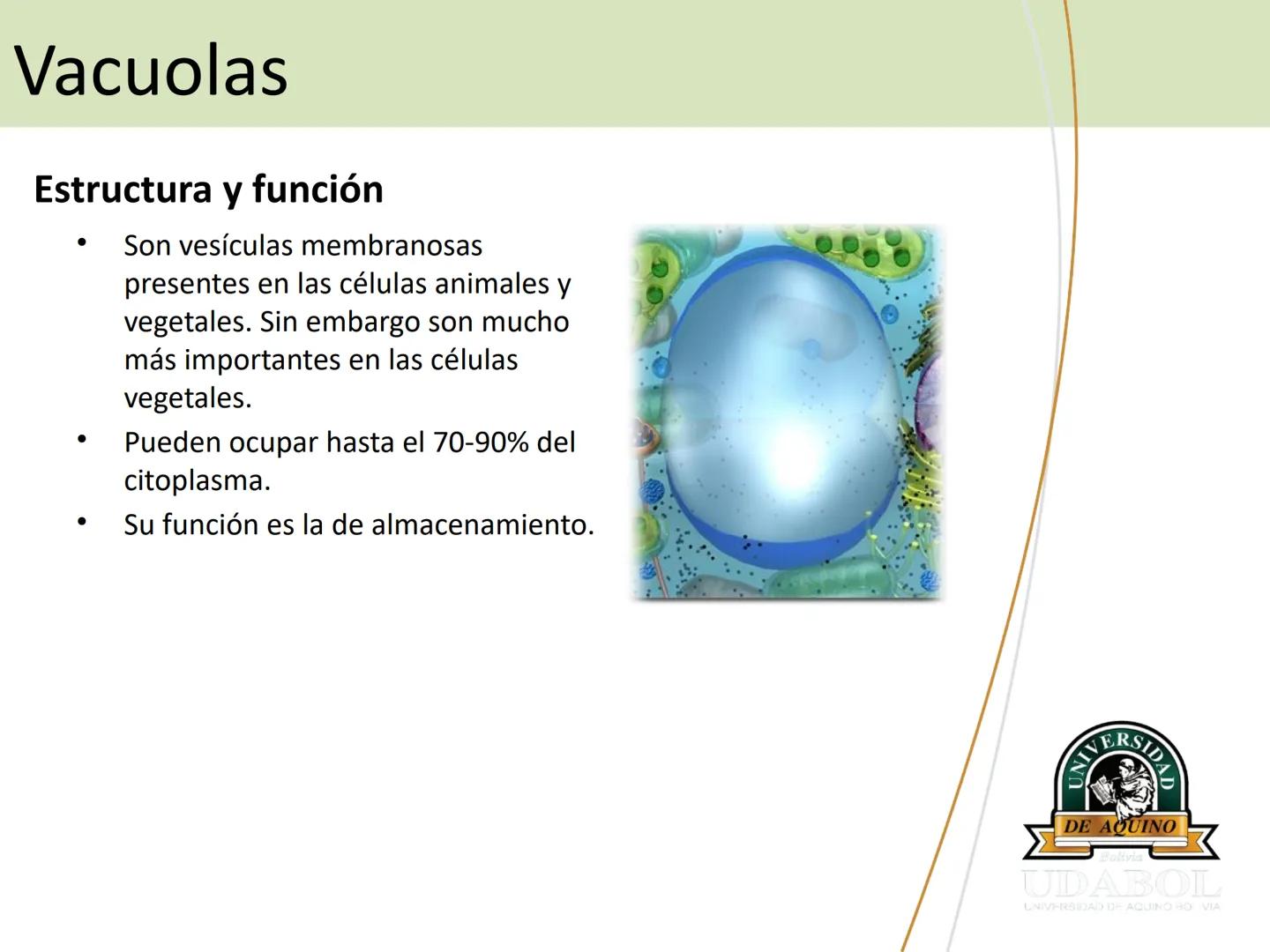 UNIVERSI
DE AQUINO
Bolivia
UDABOL
UNIVERSIDAD DE AQUINO BOLIVIA
UNIVERSIDAD DE AQUINO BOLIVIA – SANTA CRUZ
FACULTAD DE CIENCIAS DE LA SALUD