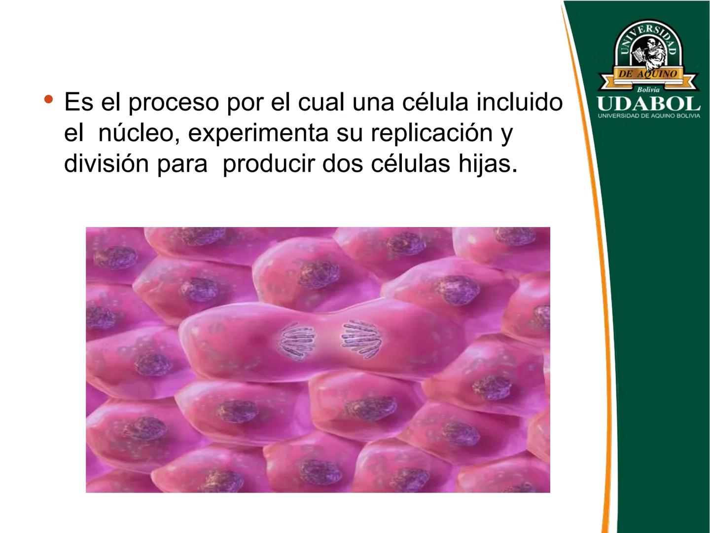 UNIVERSI
DE AQUINO
Bolivia
UDABOL
UNIVERSIDAD DE AQUINO BOLIVIA
UNIVERSIDAD DE AQUINO BOLIVIA – SANTA CRUZ
FACULTAD DE CIENCIAS DE LA SALUD