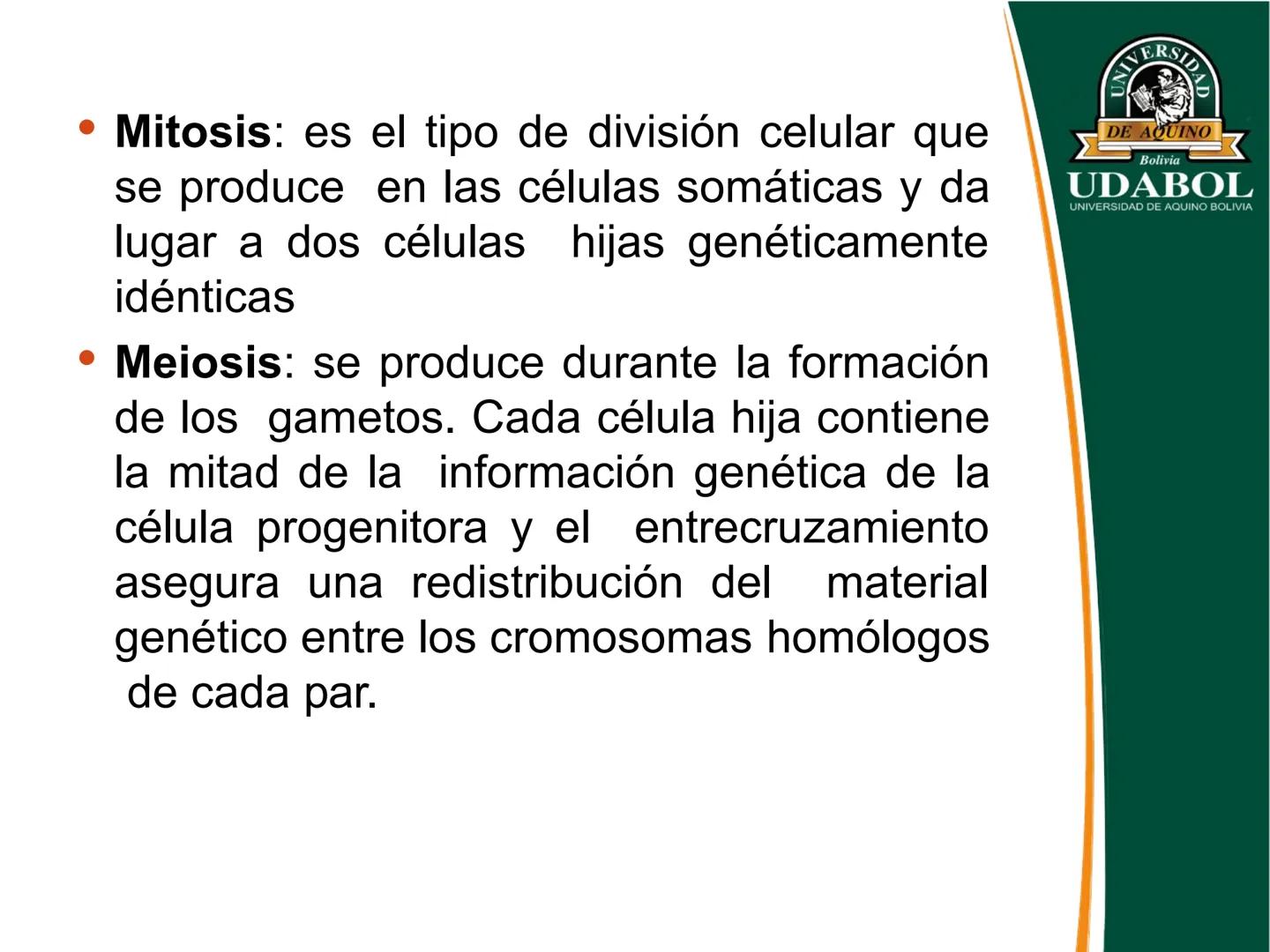 UNIVERSI
DE AQUINO
Bolivia
UDABOL
UNIVERSIDAD DE AQUINO BOLIVIA
UNIVERSIDAD DE AQUINO BOLIVIA – SANTA CRUZ
FACULTAD DE CIENCIAS DE LA SALUD