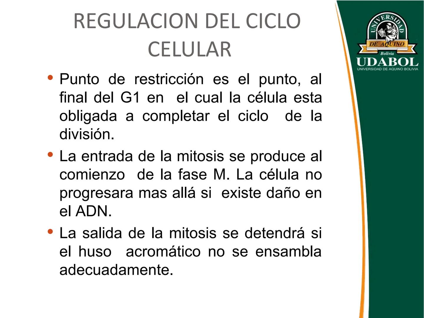 UNIVERSI
DE AQUINO
Bolivia
UDABOL
UNIVERSIDAD DE AQUINO BOLIVIA
UNIVERSIDAD DE AQUINO BOLIVIA – SANTA CRUZ
FACULTAD DE CIENCIAS DE LA SALUD