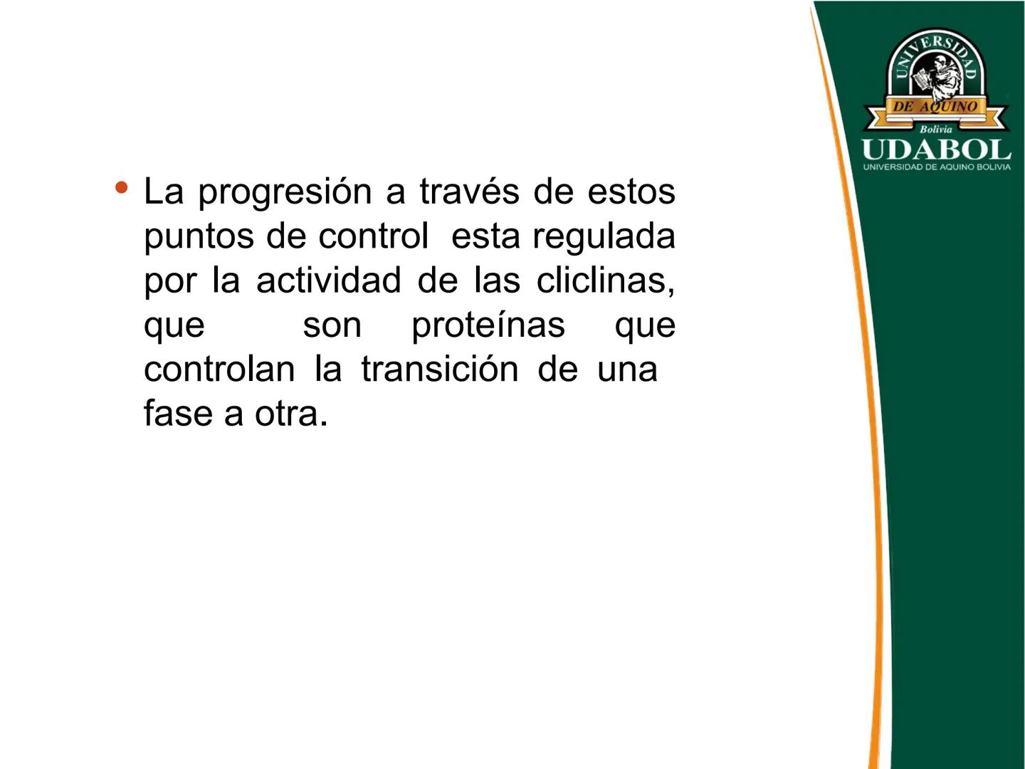 UNIVERSI
DE AQUINO
Bolivia
UDABOL
UNIVERSIDAD DE AQUINO BOLIVIA
UNIVERSIDAD DE AQUINO BOLIVIA – SANTA CRUZ
FACULTAD DE CIENCIAS DE LA SALUD
