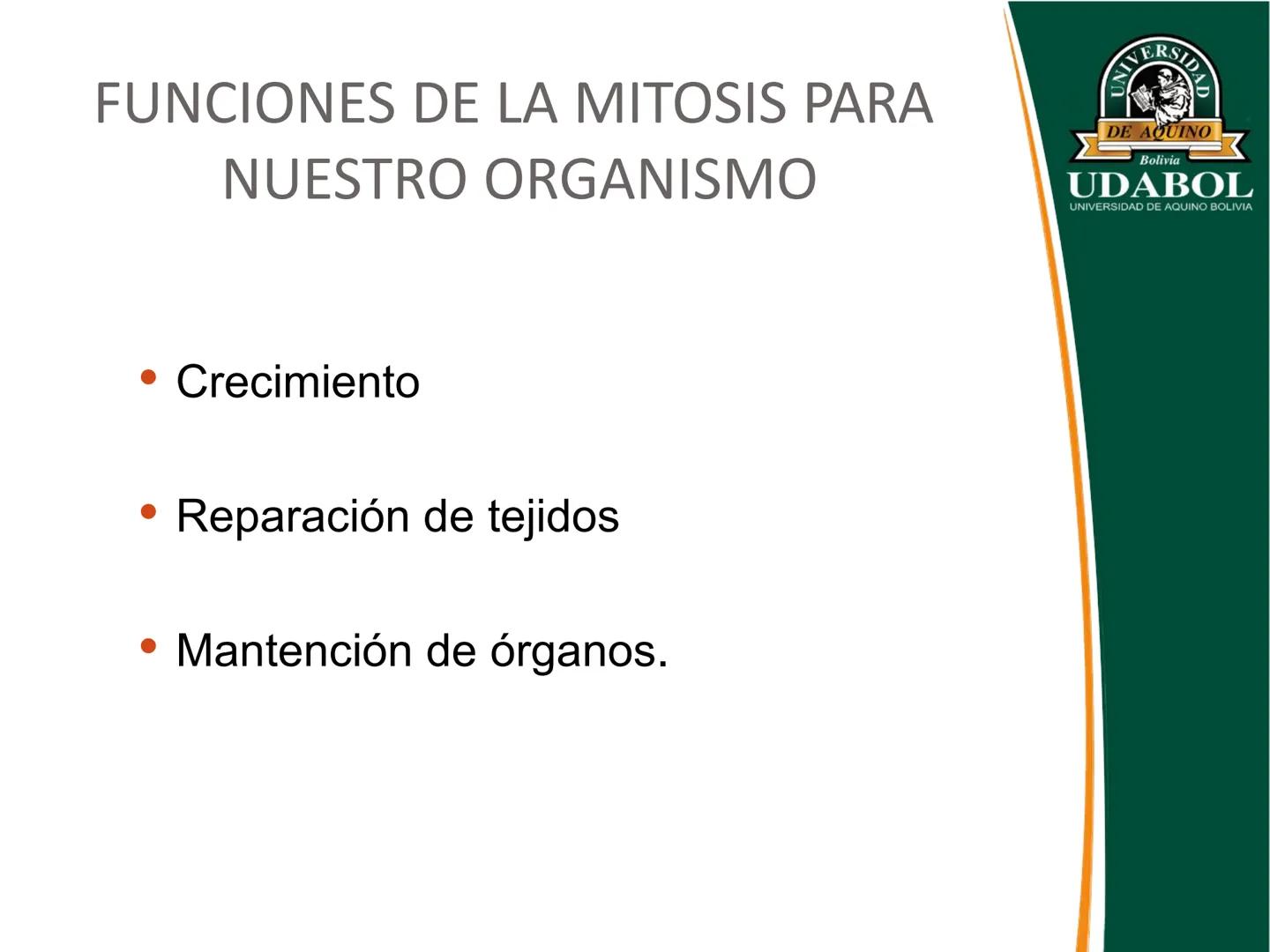 UNIVERSI
DE AQUINO
Bolivia
UDABOL
UNIVERSIDAD DE AQUINO BOLIVIA
UNIVERSIDAD DE AQUINO BOLIVIA – SANTA CRUZ
FACULTAD DE CIENCIAS DE LA SALUD