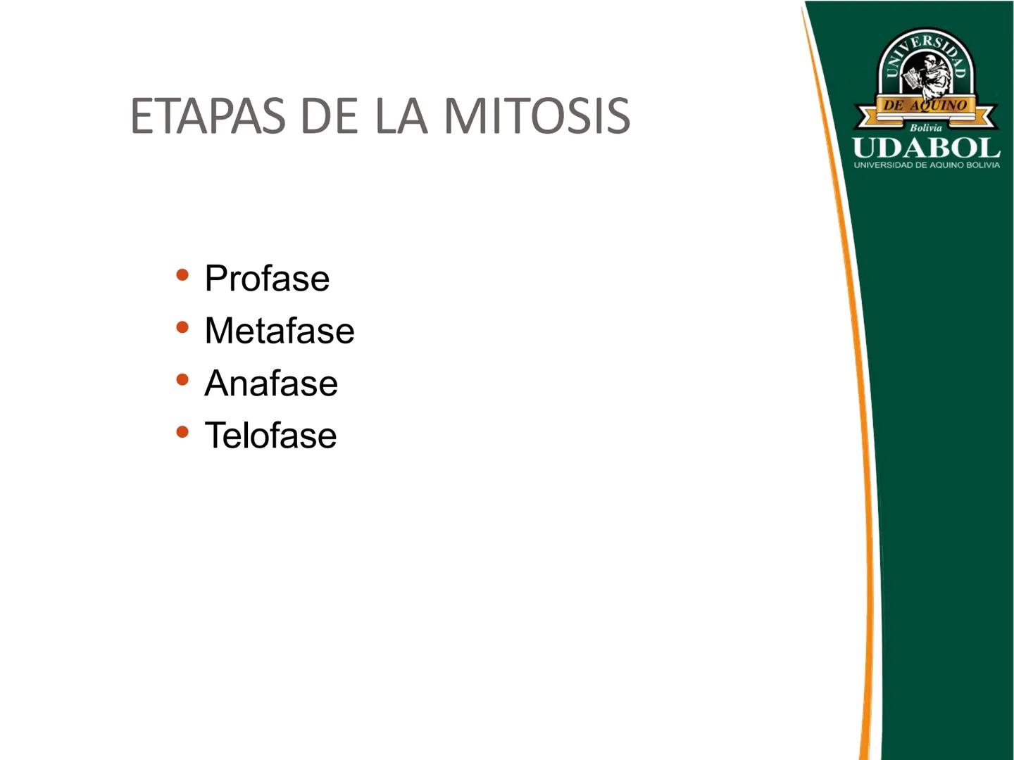 UNIVERSI
DE AQUINO
Bolivia
UDABOL
UNIVERSIDAD DE AQUINO BOLIVIA
UNIVERSIDAD DE AQUINO BOLIVIA – SANTA CRUZ
FACULTAD DE CIENCIAS DE LA SALUD