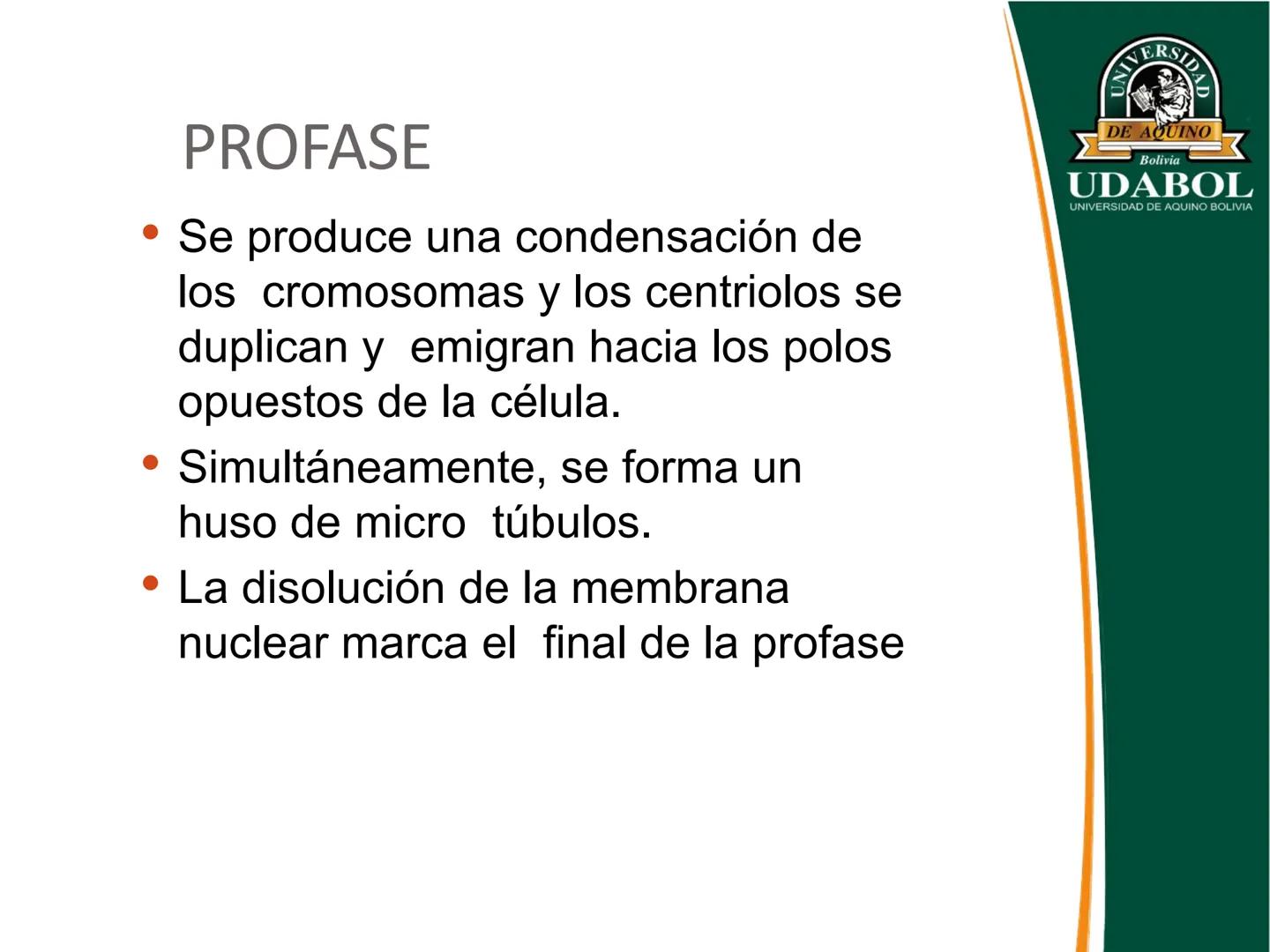 UNIVERSI
DE AQUINO
Bolivia
UDABOL
UNIVERSIDAD DE AQUINO BOLIVIA
UNIVERSIDAD DE AQUINO BOLIVIA – SANTA CRUZ
FACULTAD DE CIENCIAS DE LA SALUD