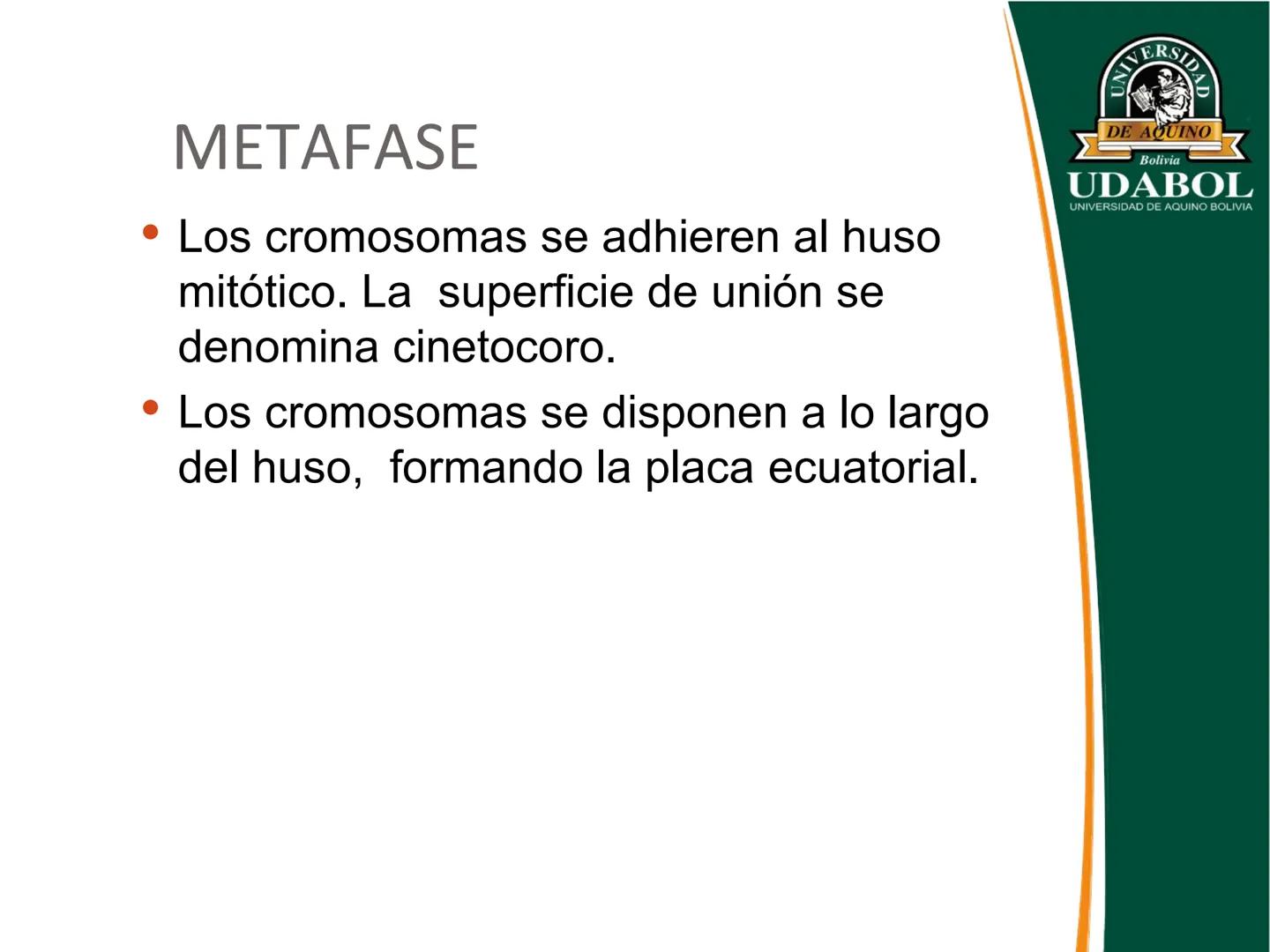 UNIVERSI
DE AQUINO
Bolivia
UDABOL
UNIVERSIDAD DE AQUINO BOLIVIA
UNIVERSIDAD DE AQUINO BOLIVIA – SANTA CRUZ
FACULTAD DE CIENCIAS DE LA SALUD