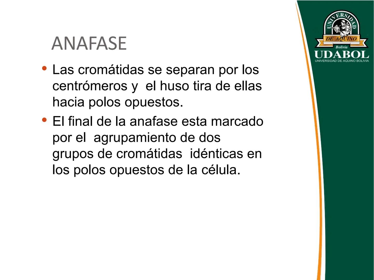 UNIVERSI
DE AQUINO
Bolivia
UDABOL
UNIVERSIDAD DE AQUINO BOLIVIA
UNIVERSIDAD DE AQUINO BOLIVIA – SANTA CRUZ
FACULTAD DE CIENCIAS DE LA SALUD