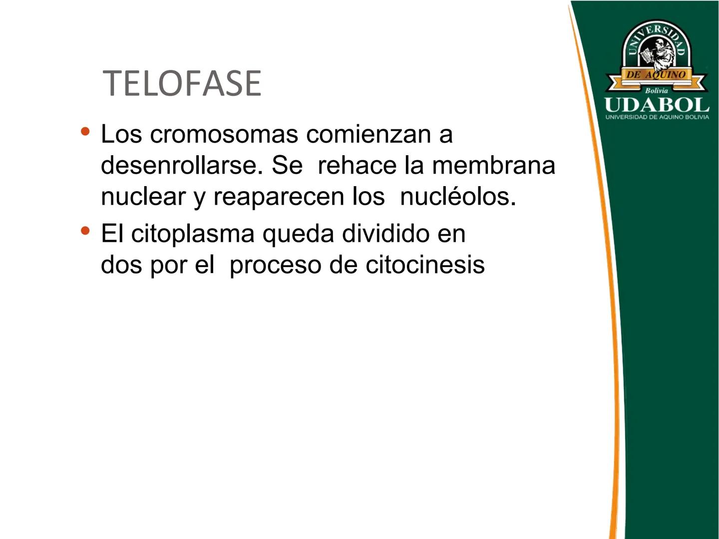 UNIVERSI
DE AQUINO
Bolivia
UDABOL
UNIVERSIDAD DE AQUINO BOLIVIA
UNIVERSIDAD DE AQUINO BOLIVIA – SANTA CRUZ
FACULTAD DE CIENCIAS DE LA SALUD
