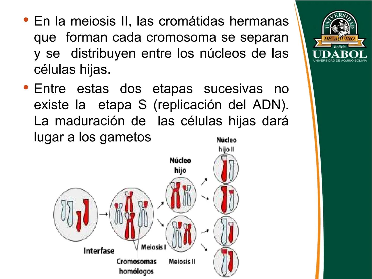 UNIVERSI
DE AQUINO
Bolivia
UDABOL
UNIVERSIDAD DE AQUINO BOLIVIA
UNIVERSIDAD DE AQUINO BOLIVIA – SANTA CRUZ
FACULTAD DE CIENCIAS DE LA SALUD