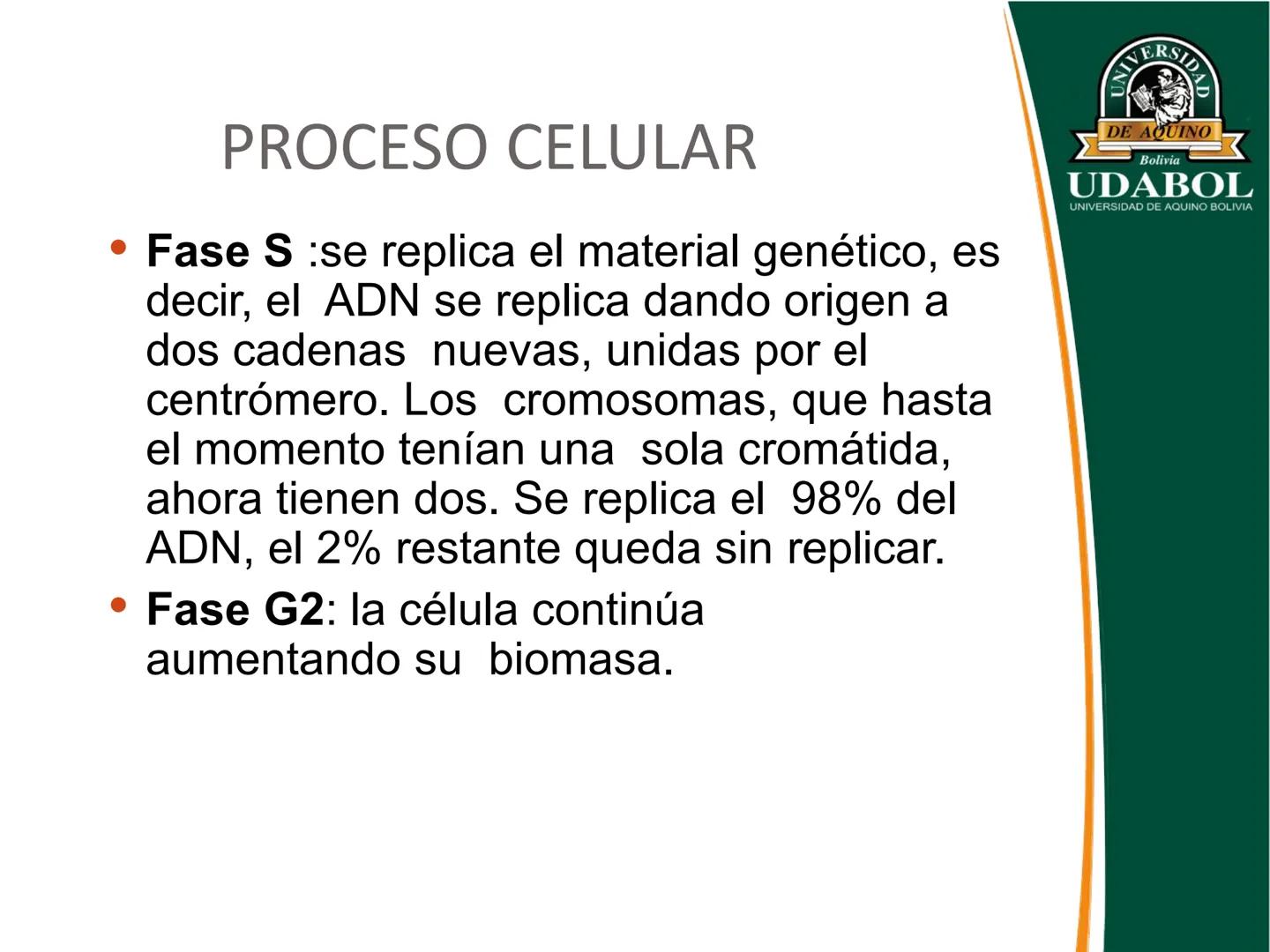 UNIVERSI
DE AQUINO
Bolivia
UDABOL
UNIVERSIDAD DE AQUINO BOLIVIA
UNIVERSIDAD DE AQUINO BOLIVIA – SANTA CRUZ
FACULTAD DE CIENCIAS DE LA SALUD