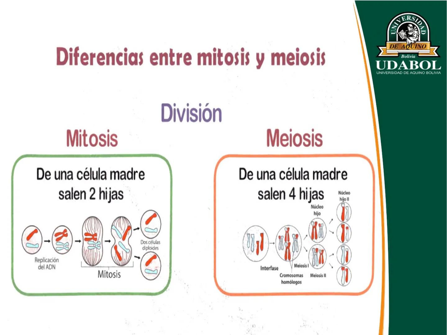 UNIVERSI
DE AQUINO
Bolivia
UDABOL
UNIVERSIDAD DE AQUINO BOLIVIA
UNIVERSIDAD DE AQUINO BOLIVIA – SANTA CRUZ
FACULTAD DE CIENCIAS DE LA SALUD