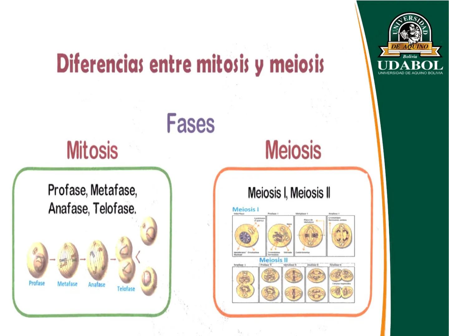 UNIVERSI
DE AQUINO
Bolivia
UDABOL
UNIVERSIDAD DE AQUINO BOLIVIA
UNIVERSIDAD DE AQUINO BOLIVIA – SANTA CRUZ
FACULTAD DE CIENCIAS DE LA SALUD