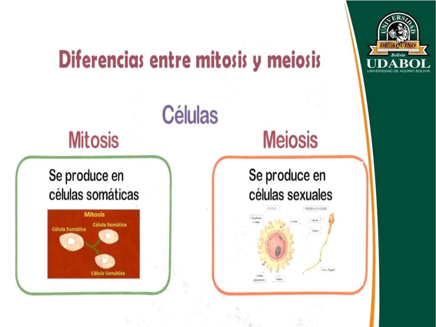 UNIVERSI
DE AQUINO
Bolivia
UDABOL
UNIVERSIDAD DE AQUINO BOLIVIA
UNIVERSIDAD DE AQUINO BOLIVIA – SANTA CRUZ
FACULTAD DE CIENCIAS DE LA SALUD