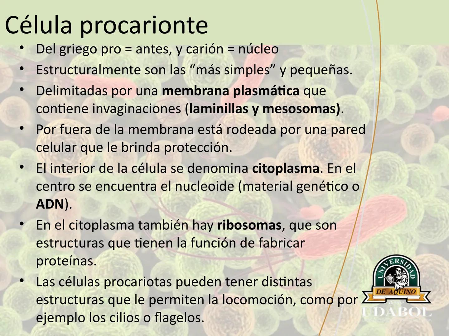UNIVERSI
DE AQUINO
Bolivia
UDABOL
UNIVERSIDAD DE AQUINO BOLIVIA
UNIVERSIDAD DE AQUINO BOLIVIA – SANTA CRUZ
FACULTAD DE CIENCIAS DE LA SALUD