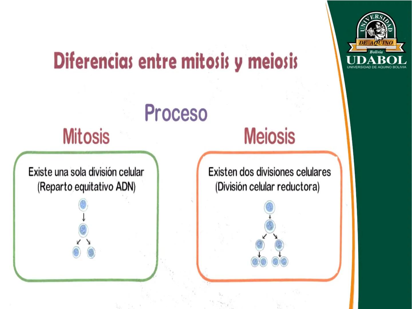 UNIVERSI
DE AQUINO
Bolivia
UDABOL
UNIVERSIDAD DE AQUINO BOLIVIA
UNIVERSIDAD DE AQUINO BOLIVIA – SANTA CRUZ
FACULTAD DE CIENCIAS DE LA SALUD