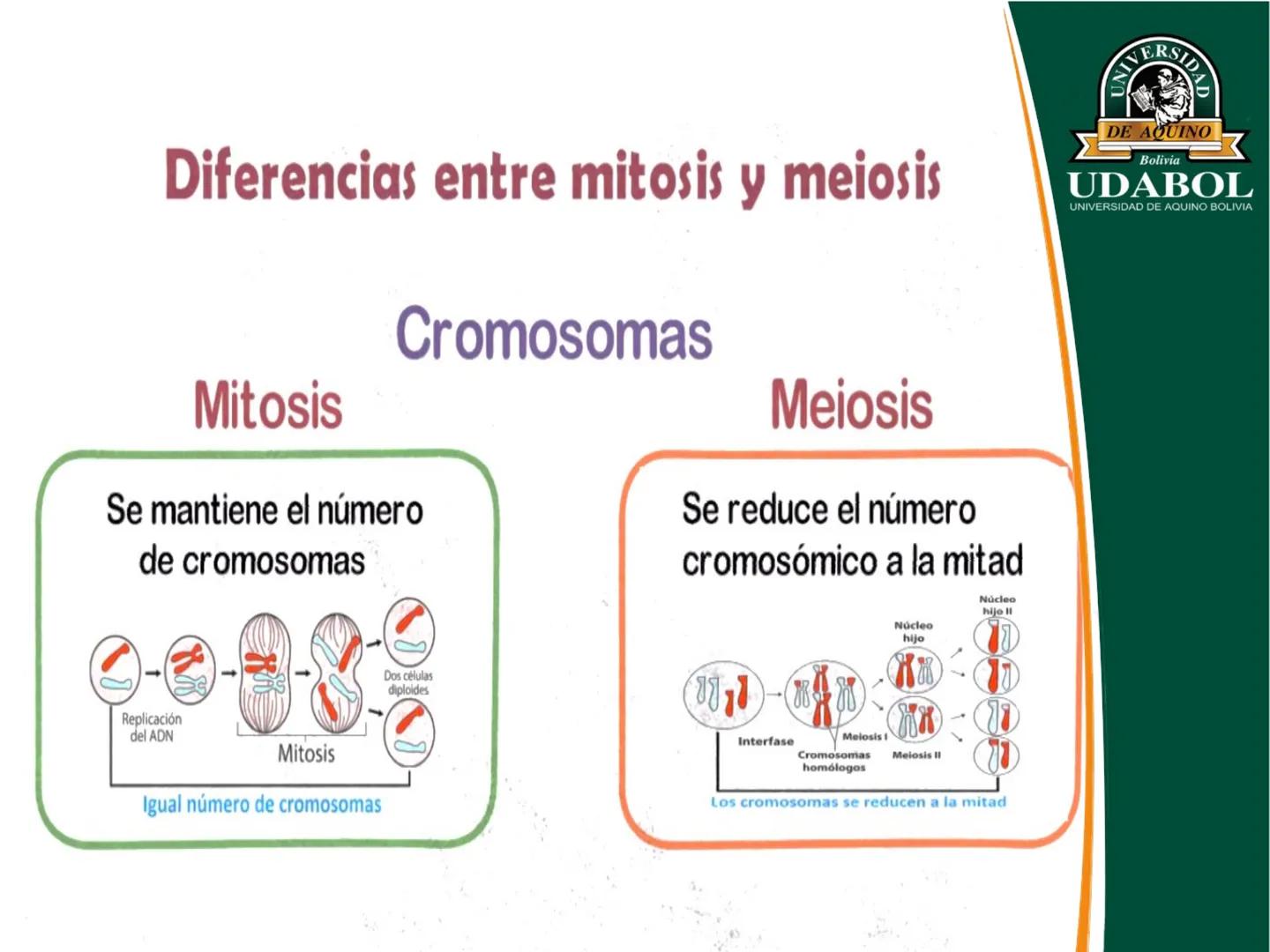 UNIVERSI
DE AQUINO
Bolivia
UDABOL
UNIVERSIDAD DE AQUINO BOLIVIA
UNIVERSIDAD DE AQUINO BOLIVIA – SANTA CRUZ
FACULTAD DE CIENCIAS DE LA SALUD
