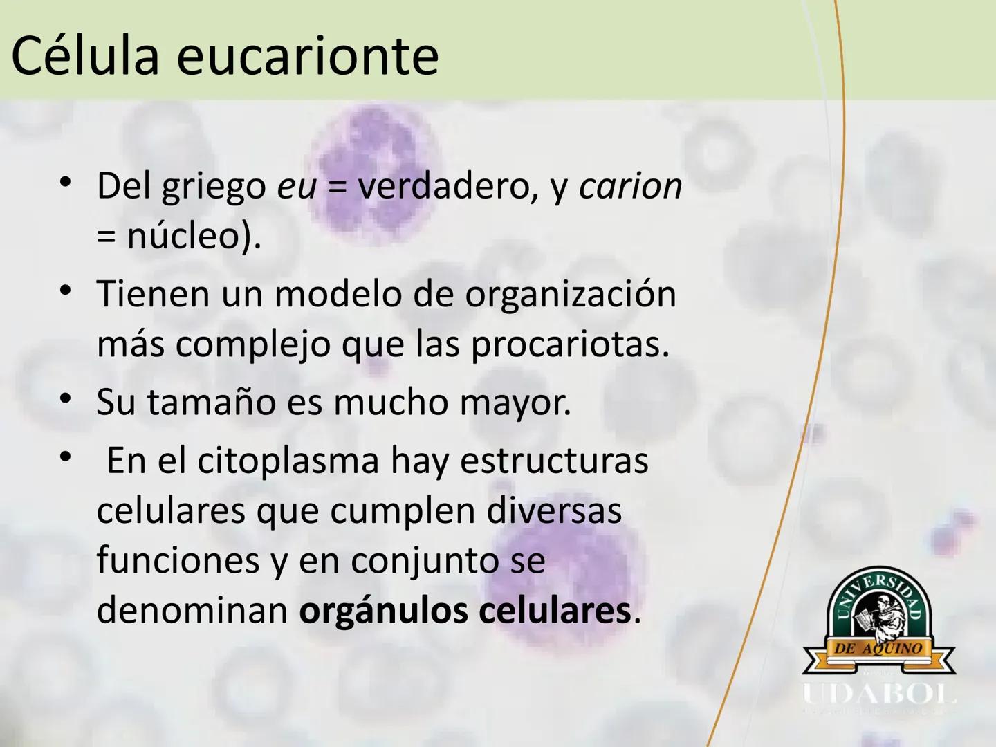 UNIVERSI
DE AQUINO
Bolivia
UDABOL
UNIVERSIDAD DE AQUINO BOLIVIA
UNIVERSIDAD DE AQUINO BOLIVIA – SANTA CRUZ
FACULTAD DE CIENCIAS DE LA SALUD