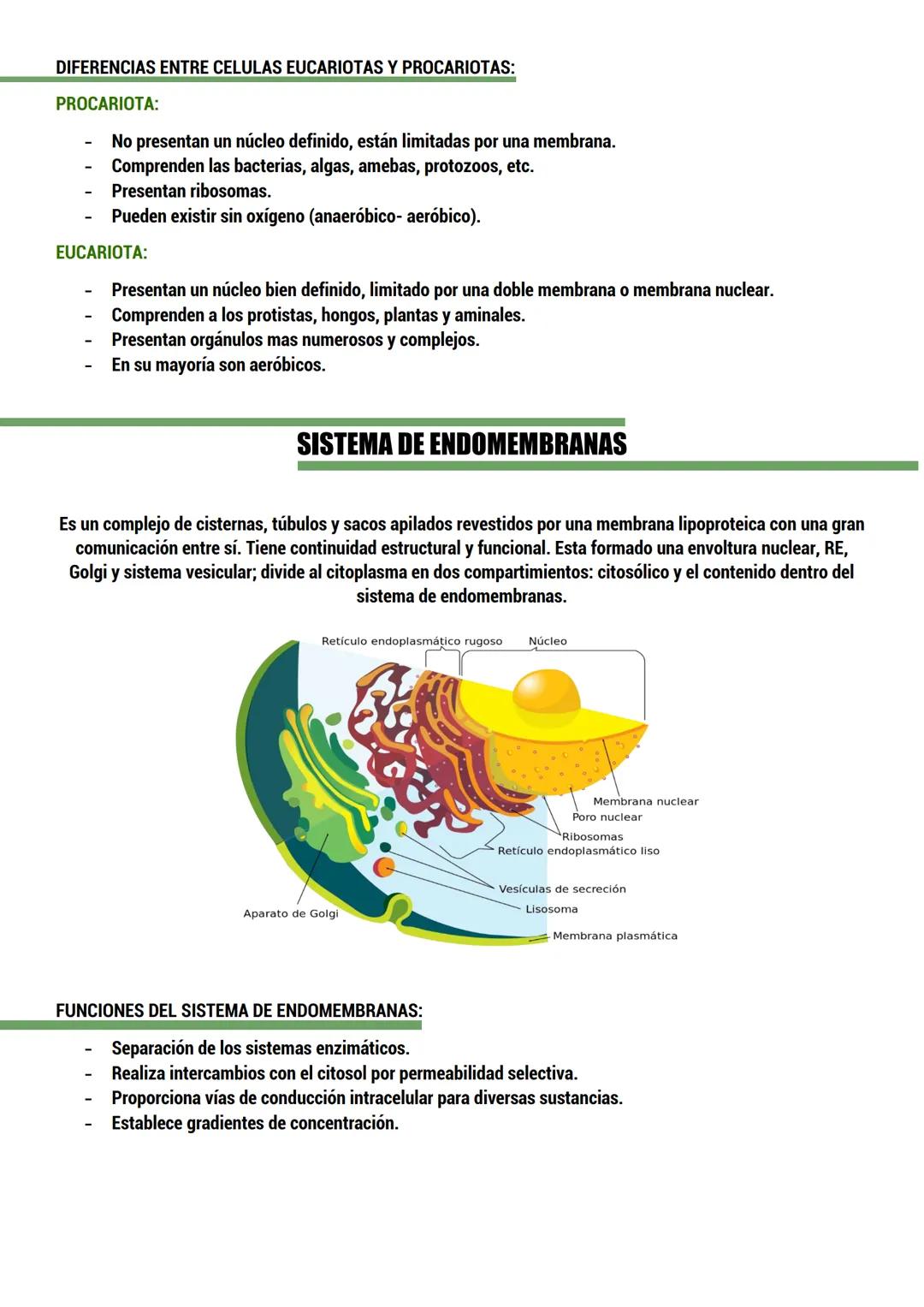 --- OCR Start ---
BIOLOGIA
ORIGEN DE LA VIDA
TEORIAS del origen de la célula.
Dos tipos:
CON BASE CIENTIFICA: generación espontánea, pansper