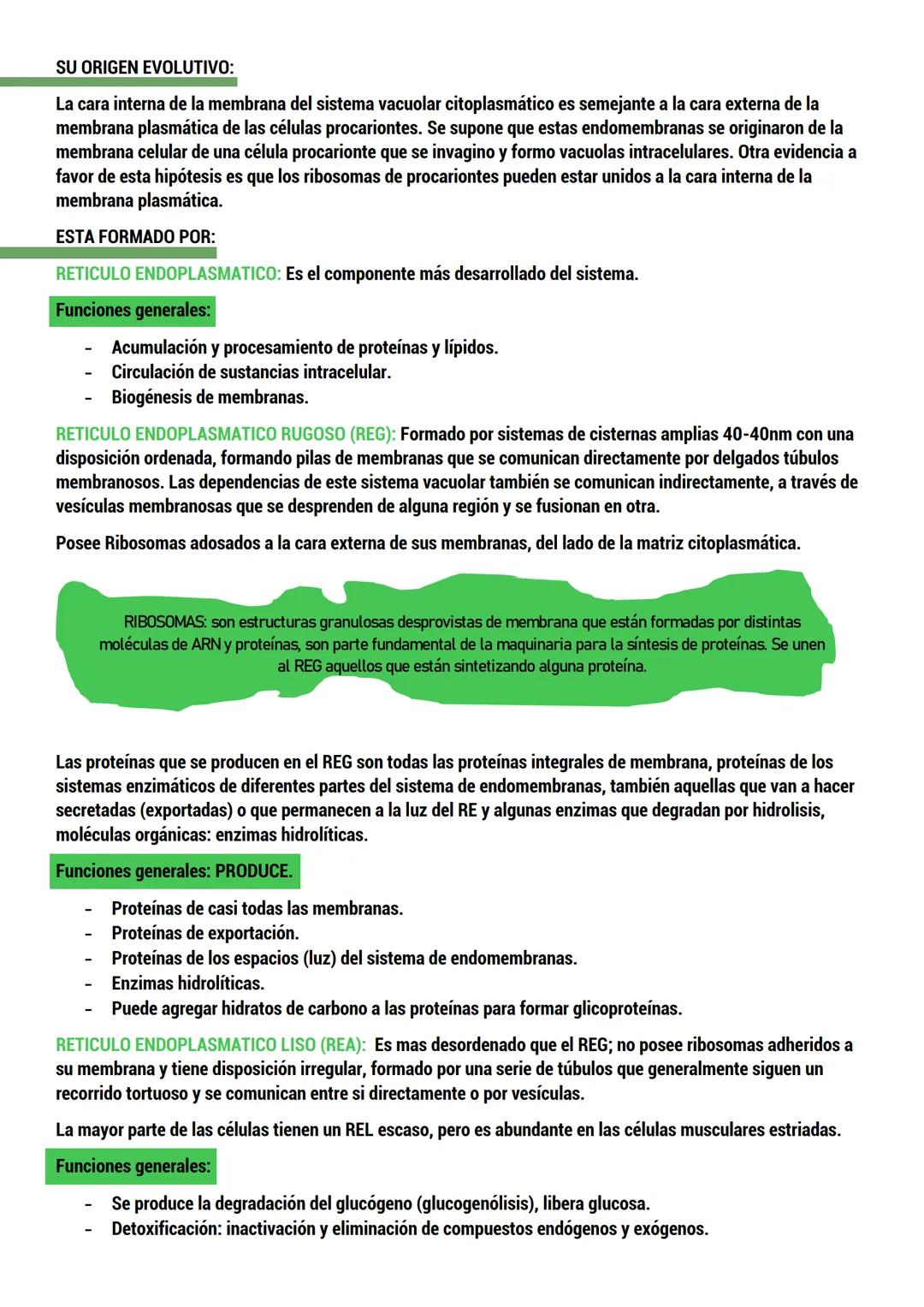 --- OCR Start ---
BIOLOGIA
ORIGEN DE LA VIDA
TEORIAS del origen de la célula.
Dos tipos:
CON BASE CIENTIFICA: generación espontánea, pansper