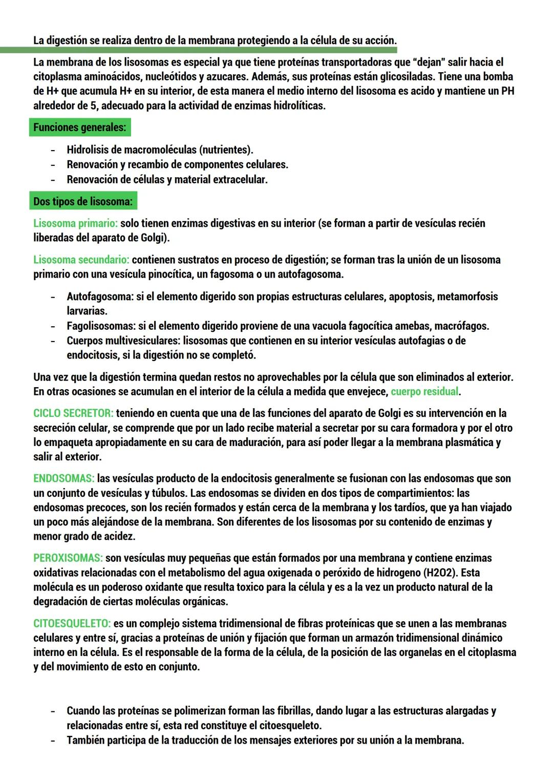 --- OCR Start ---
BIOLOGIA
ORIGEN DE LA VIDA
TEORIAS del origen de la célula.
Dos tipos:
CON BASE CIENTIFICA: generación espontánea, pansper