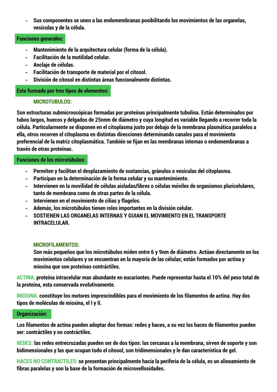 --- OCR Start ---
BIOLOGIA
ORIGEN DE LA VIDA
TEORIAS del origen de la célula.
Dos tipos:
CON BASE CIENTIFICA: generación espontánea, pansper