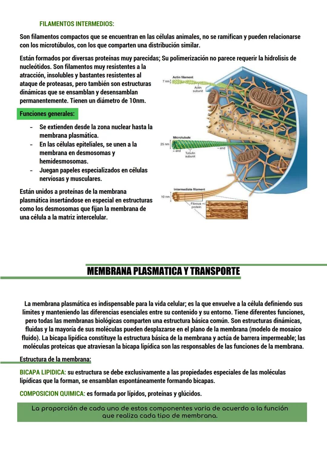 --- OCR Start ---
BIOLOGIA
ORIGEN DE LA VIDA
TEORIAS del origen de la célula.
Dos tipos:
CON BASE CIENTIFICA: generación espontánea, pansper