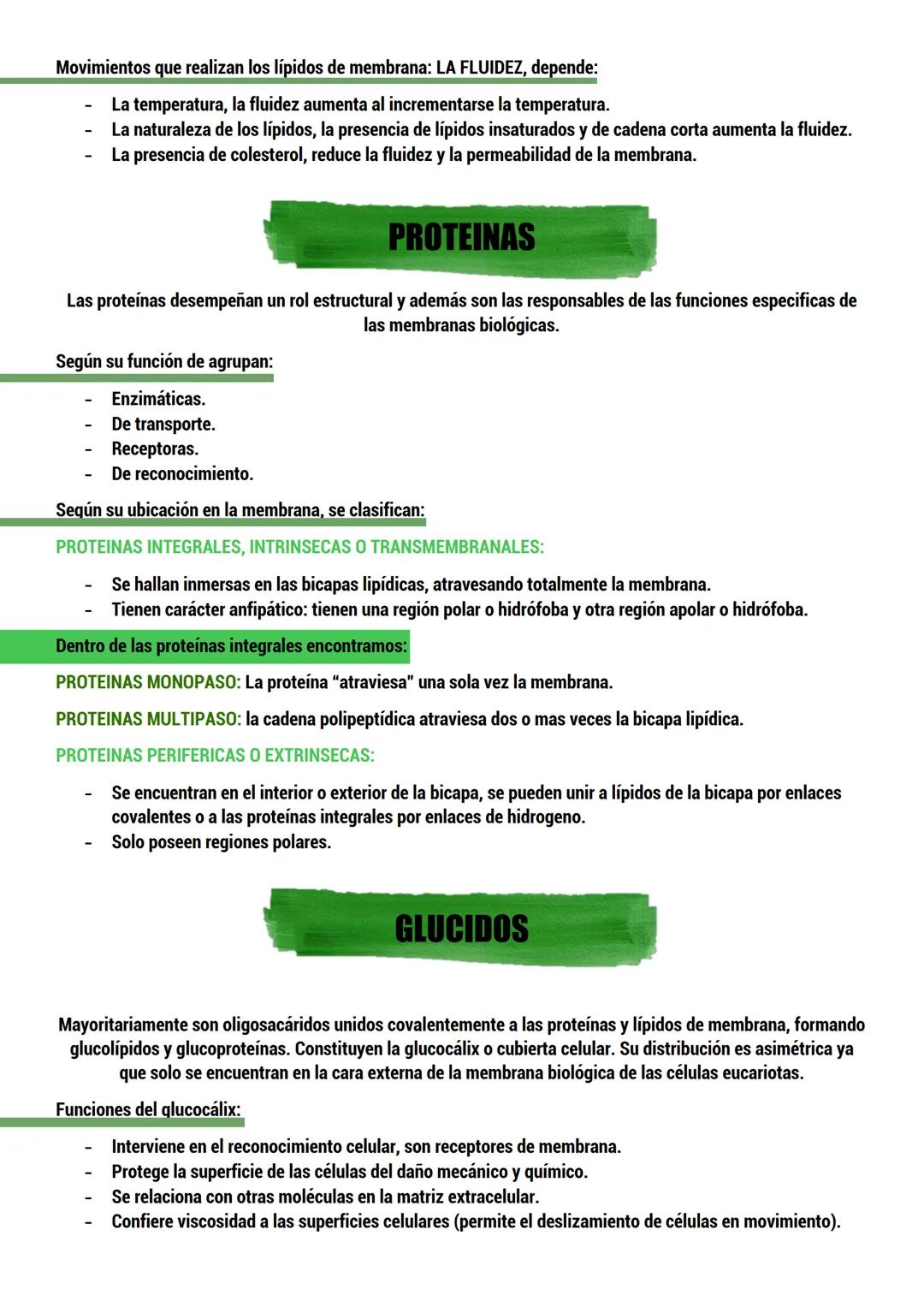 --- OCR Start ---
BIOLOGIA
ORIGEN DE LA VIDA
TEORIAS del origen de la célula.
Dos tipos:
CON BASE CIENTIFICA: generación espontánea, pansper
