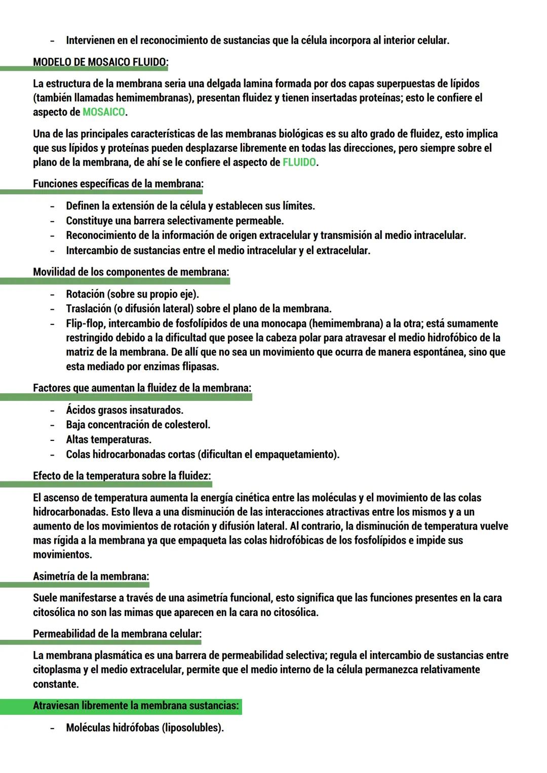 --- OCR Start ---
BIOLOGIA
ORIGEN DE LA VIDA
TEORIAS del origen de la célula.
Dos tipos:
CON BASE CIENTIFICA: generación espontánea, pansper