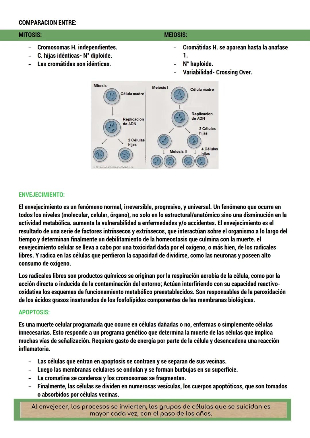 --- OCR Start ---
BIOLOGIA
ORIGEN DE LA VIDA
TEORIAS del origen de la célula.
Dos tipos:
CON BASE CIENTIFICA: generación espontánea, pansper