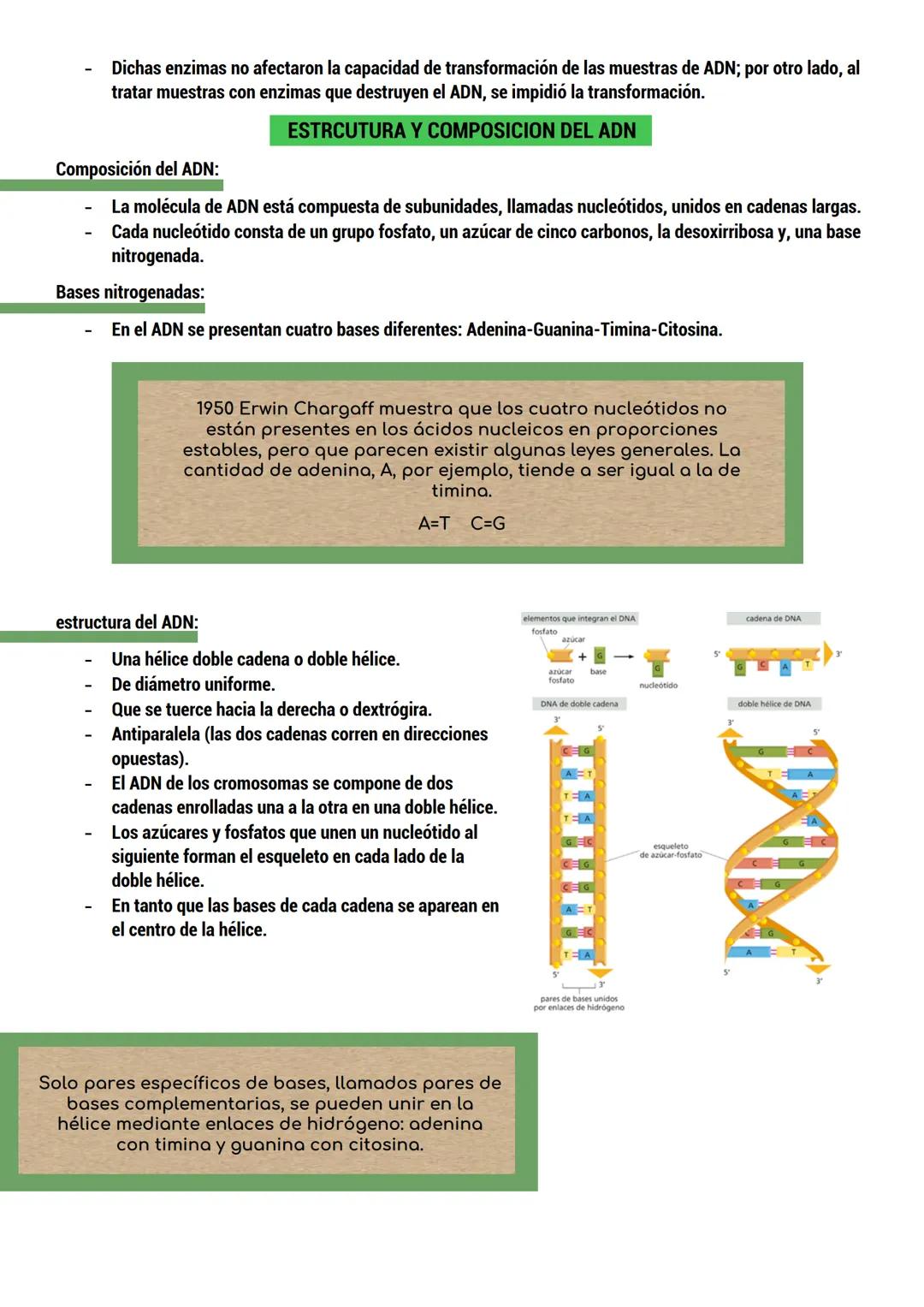 --- OCR Start ---
BIOLOGIA
ORIGEN DE LA VIDA
TEORIAS del origen de la célula.
Dos tipos:
CON BASE CIENTIFICA: generación espontánea, pansper