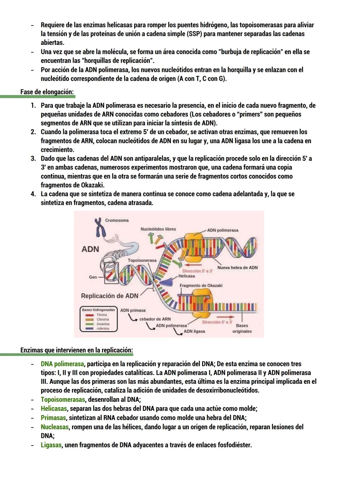 --- OCR Start ---
BIOLOGIA
ORIGEN DE LA VIDA
TEORIAS del origen de la célula.
Dos tipos:
CON BASE CIENTIFICA: generación espontánea, pansper