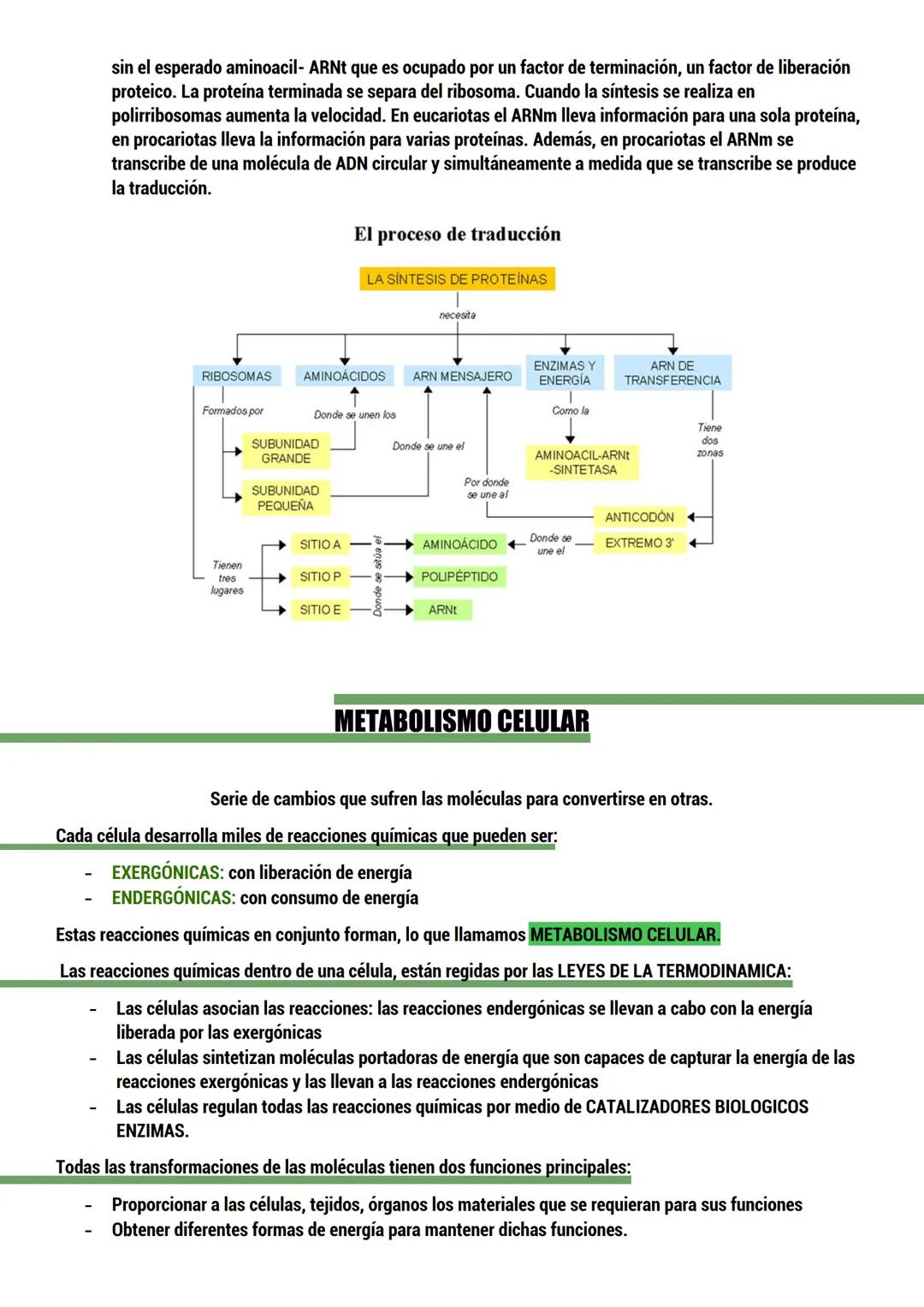 --- OCR Start ---
BIOLOGIA
ORIGEN DE LA VIDA
TEORIAS del origen de la célula.
Dos tipos:
CON BASE CIENTIFICA: generación espontánea, pansper
