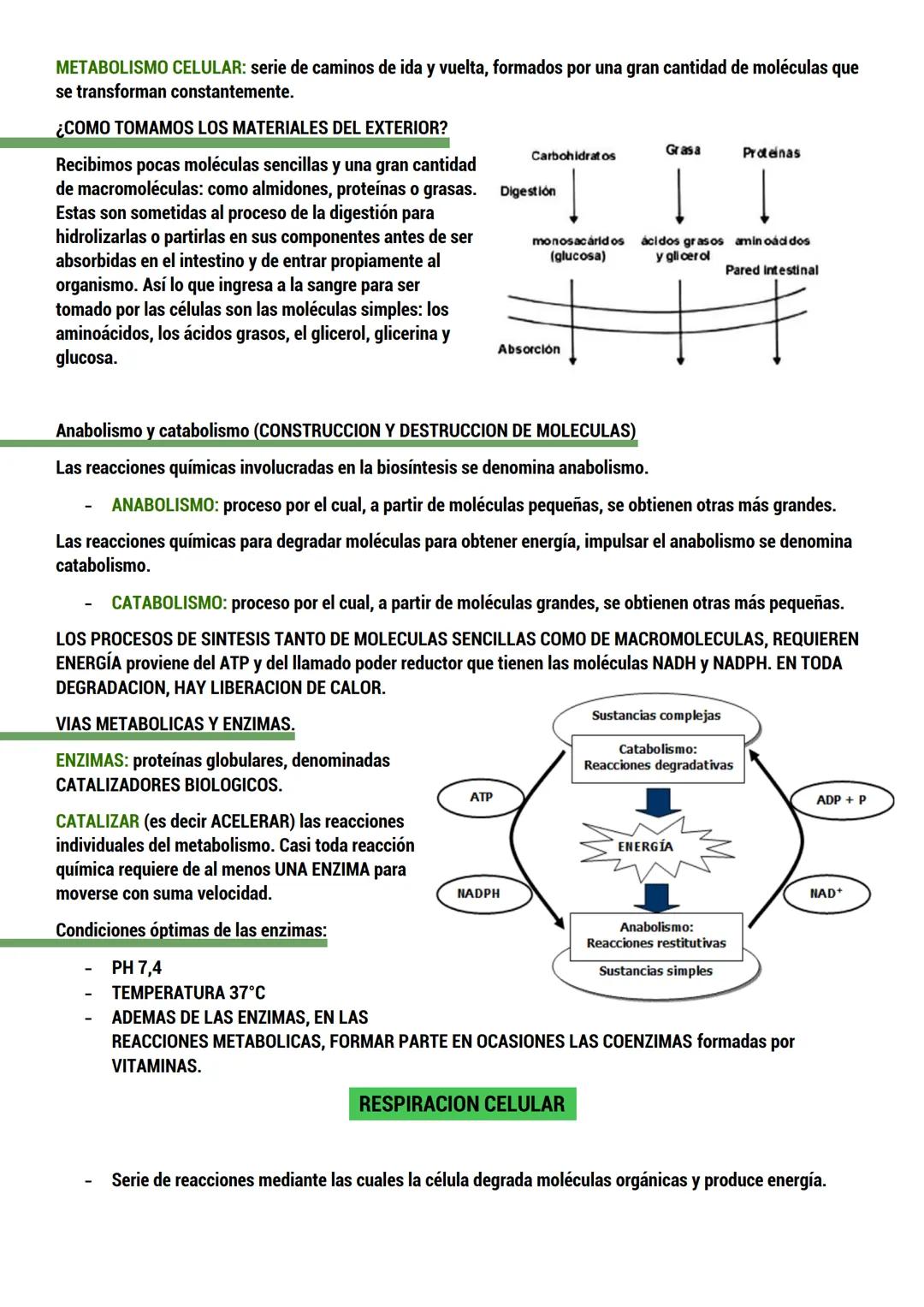 --- OCR Start ---
BIOLOGIA
ORIGEN DE LA VIDA
TEORIAS del origen de la célula.
Dos tipos:
CON BASE CIENTIFICA: generación espontánea, pansper