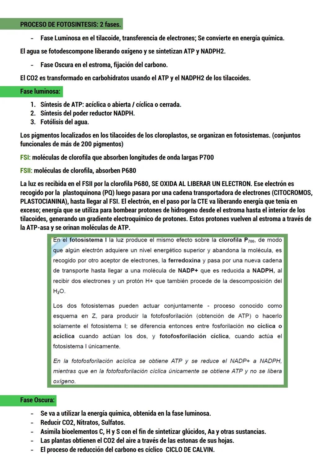 --- OCR Start ---
BIOLOGIA
ORIGEN DE LA VIDA
TEORIAS del origen de la célula.
Dos tipos:
CON BASE CIENTIFICA: generación espontánea, pansper