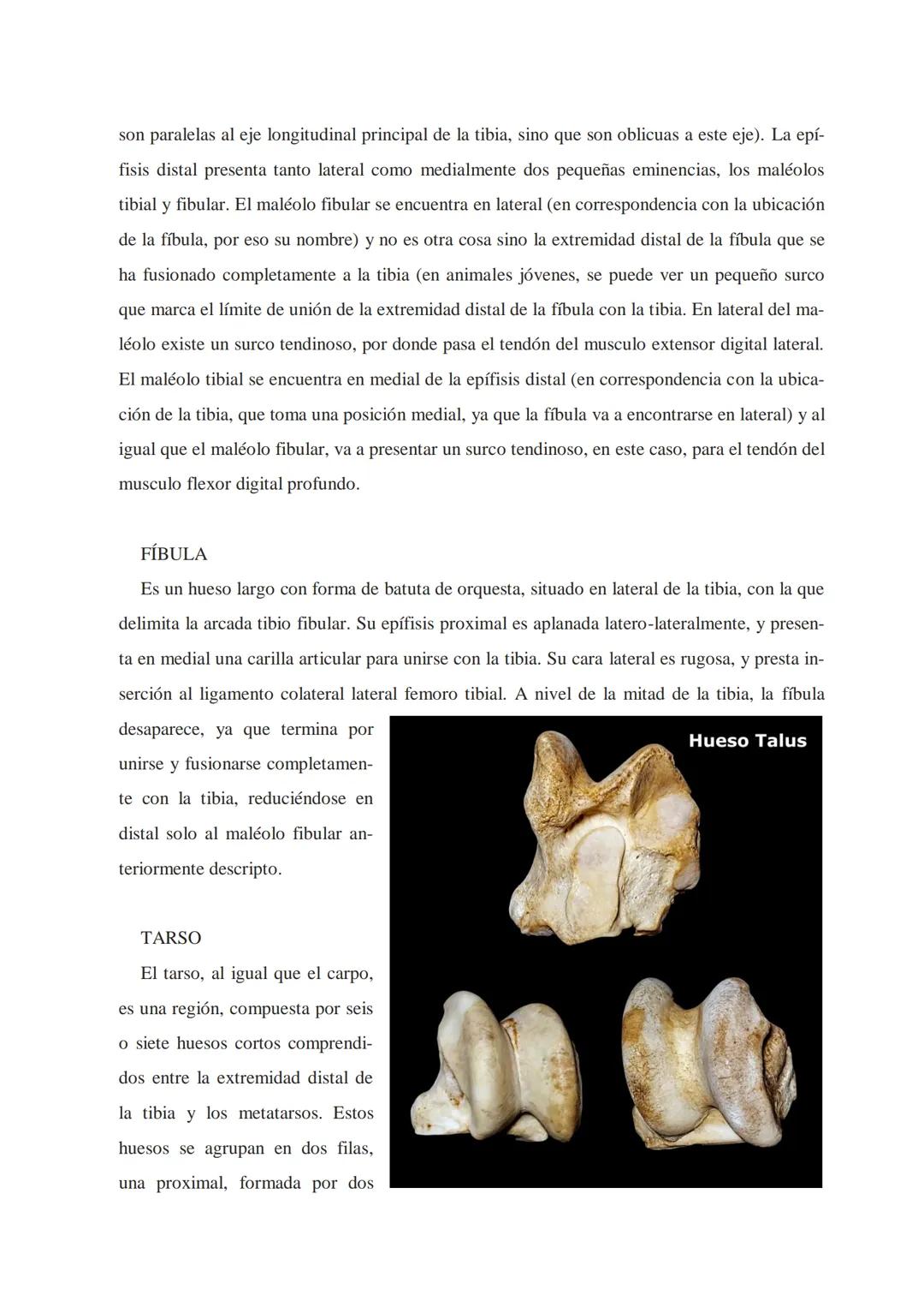 Universidad Católica de Salta
ANATOMÍA COMPARADA
Unidad 1
OSTEOlOGÍA
AUTOR
Prof. M.V. Leonardo Sarapura INTRODUCCIÓN A LAS INTRODUCCIONES