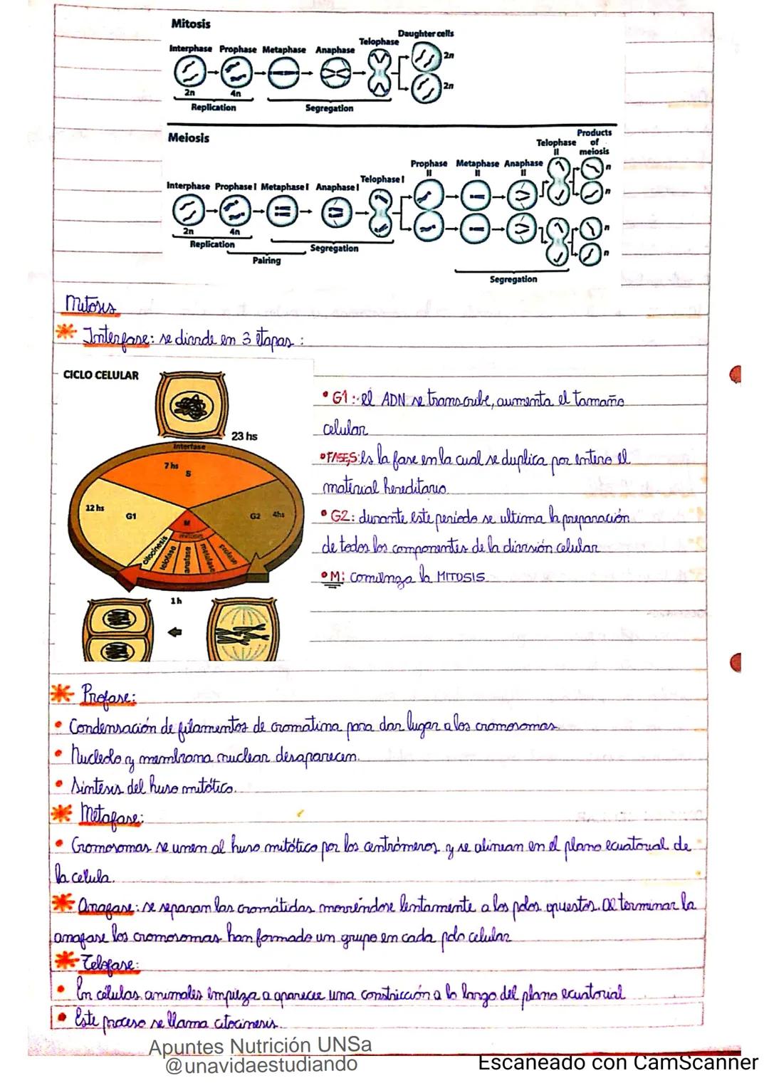 Introducción CLASE 1
ΑΝΑΤΟΜΙΑ 2020
y fisiologia
POSICION
ANATOMICA
Anatomia : Gencia que estudia las estructuras corporales y las relaciones