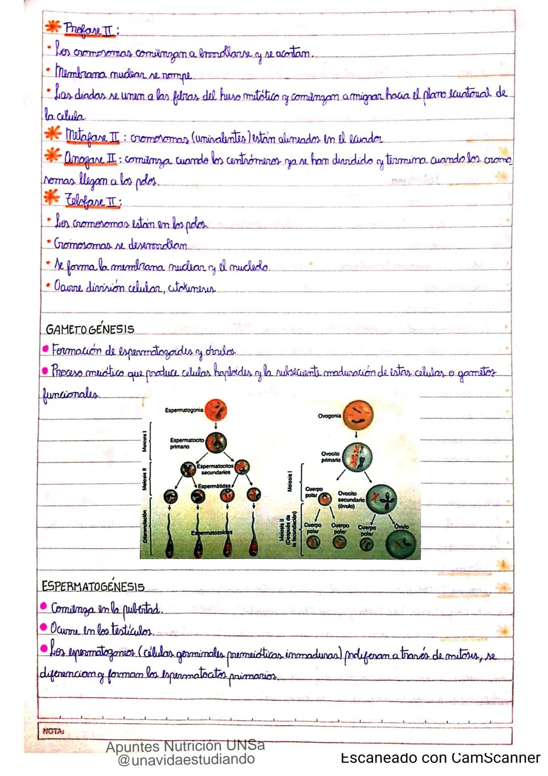 Introducción CLASE 1
ΑΝΑΤΟΜΙΑ 2020
y fisiologia
POSICION
ANATOMICA
Anatomia : Gencia que estudia las estructuras corporales y las relaciones