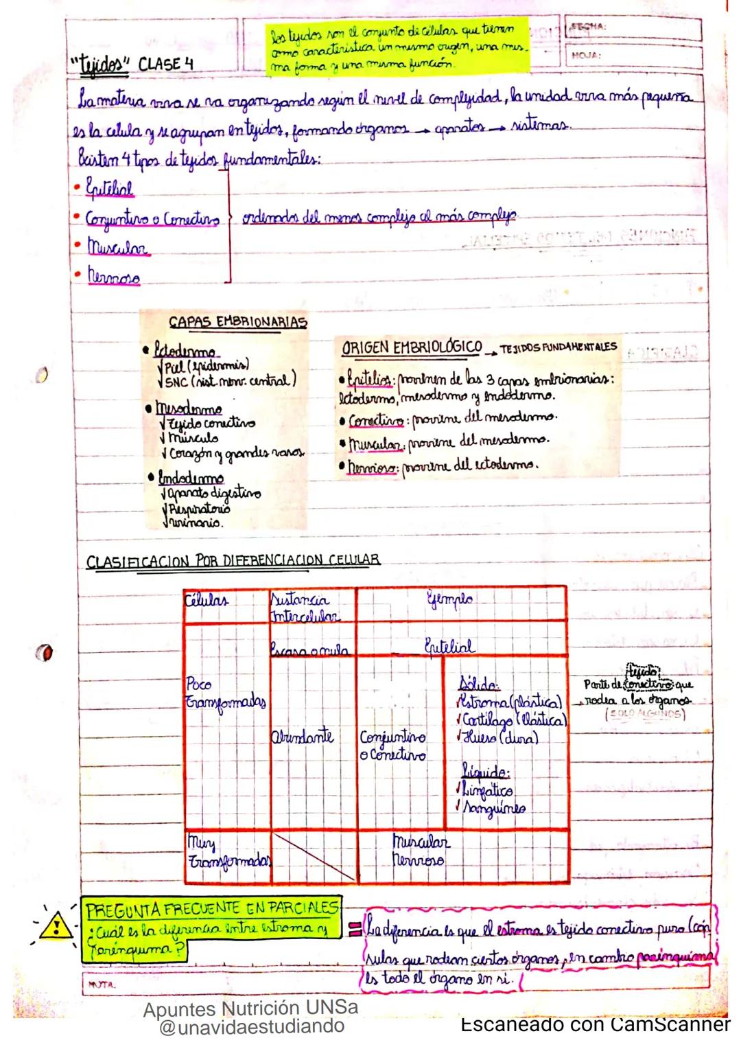 Introducción CLASE 1
ΑΝΑΤΟΜΙΑ 2020
y fisiologia
POSICION
ANATOMICA
Anatomia : Gencia que estudia las estructuras corporales y las relaciones